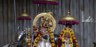 Lord Shrikrishna, Three Vigilance, Rajasthan, Sri Govind Devji, Shri Gopinath, Third Vigilance, Shri Madan Mohanji Karauli, Lord Sri Krishna, Praptra Brijnabha, Arjun, Patra Maharaj Parikshit, Jaipur Raja, Jaipur Rajpuriwar, Jaipur Royal Family, Lord Ram, Dynasty ,