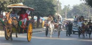 Krnal chariot race