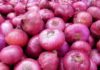Launch of Food Processing Incubation Center for Small Onions in Perambalur