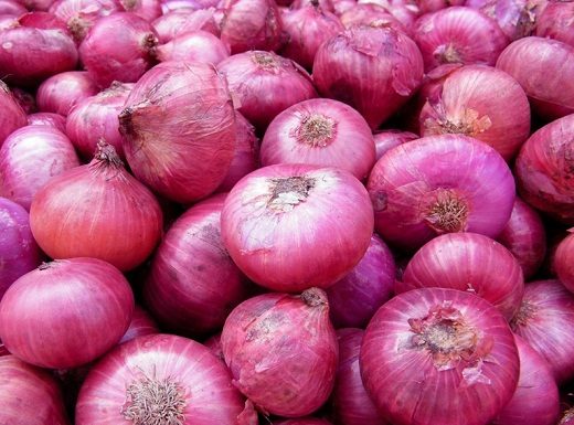 पेरंबलूर में छोटे प्याजों के लिए खाद्य प्रसंस्करण इनक्यूबेशन केंद्र का शुभारंभ Launch of Food Processing Incubation Center for Small Onions in Perambalur