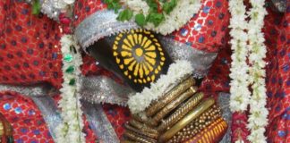 Lord Shrikrishna, Three Vigilance, Rajasthan, Sri Govind Devji, Shri Gopinath, Third Vigilance, Shri Madan Mohanji Karauli, Lord Sri Krishna, Praptra Brijnabha, Arjun, Patra Maharaj Parikshit, Jaipur Raja, Jaipur Rajpuriwar, Jaipur Royal Family, Lord Ram, Dynasty ,