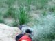 Lover-The-End Story- Rajasthan- Hanumangarh- Lover Couple-Suicide