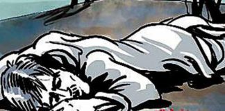 The speed of the net slowed down so much that the brother killed the brother