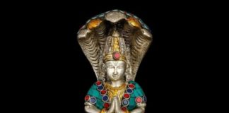 Nagkanya of Rs 3 crore detected ..