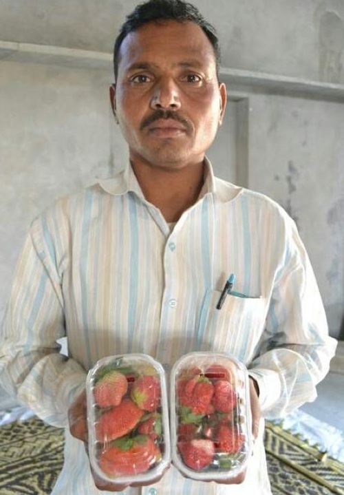 Jagdish Prajapat-farmer-udaipur