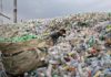 NGT told Delhi Government: Submit status report on plastic ban