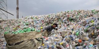 NGT told Delhi Government: Submit status report on plastic ban