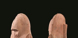 himmat-shahs-works-will-be-displayed-for-the-first-time-in-rajasthan