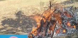 married-two-sisters-raised-a-stretcher-second-bier