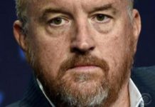 Netflix did not make new show after allegations against Louis C.K
