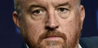 Netflix did not make new show after allegations against Louis C.K