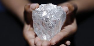 The biggest diamond we got in auction for 220 crore rupees