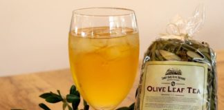 Production of olive grams for the first time in the world in Rajasthan