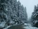 Snow in the areas of Jammu, Mughal road still closed