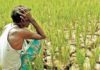 Farmers in Delhi will demand freedom from demand, debt