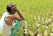 Farmers in Delhi will demand freedom from demand, debt