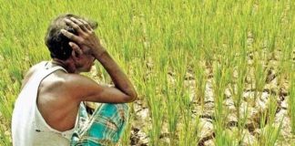 Farmers in Delhi will demand freedom from demand, debt