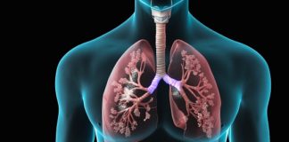 Indian people's lung capacity is down 30 percent compared to North American: scientists