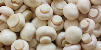 Mushroom is effective in fighting old age and improving health