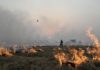 Government will monitor satellite on Parali burning in Punjab