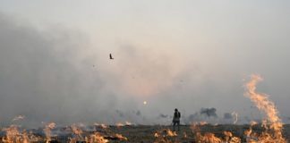 Government will monitor satellite on Parali burning in Punjab