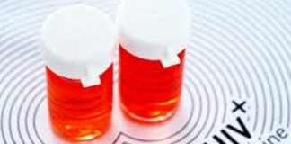 Bacteria found from the Kakamma desert, capable of treating HIV