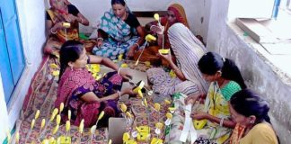 5 state leaders including Rajasthan in supporting women entrepreneurship