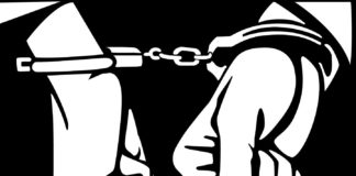 Arrested from absconding after parole was arrested from Navi Mumbai