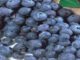 Blueberry