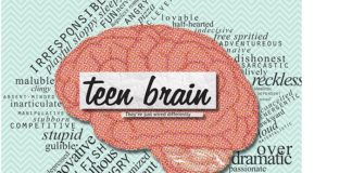 Teen brain