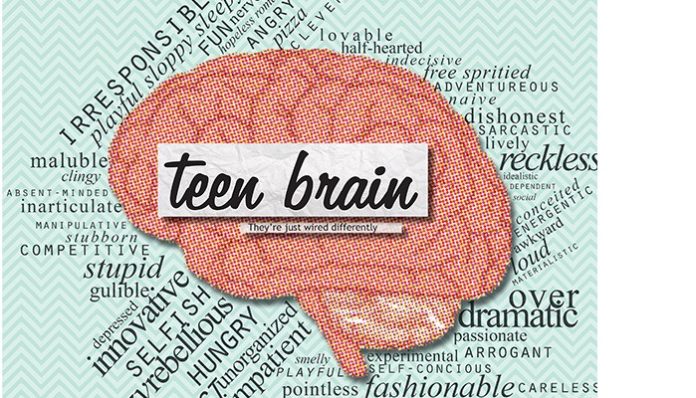 Teen brain