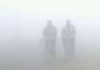 Fog reduced visibility at many places in Haryana and Punjab