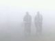 Fog reduced visibility at many places in Haryana and Punjab
