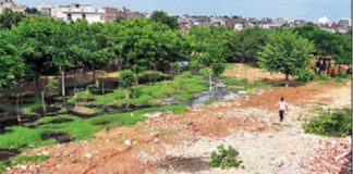 High Court orders revenue records and maps in case of Dagvati river