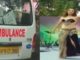 Meerut Medical College campus in order to investigate the incident of pornographic dancing