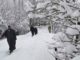 Jammu Kashmir snowfall: more than 70 stranded people were rescued