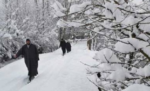 Jammu Kashmir snowfall: more than 70 stranded people were rescued