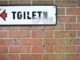 This is a toilet story