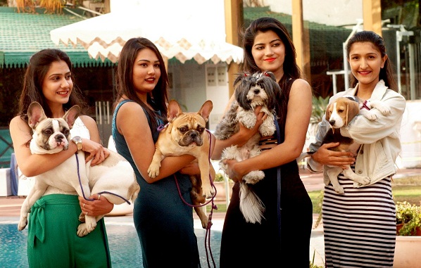 Jaipur to start two-day 'Jaipur Dog Show' on February 3