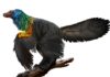 Rainbow-colored-dinosaur