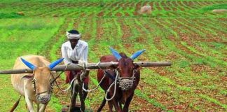 Agriculture research