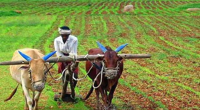 Agriculture research