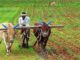 Agriculture research
