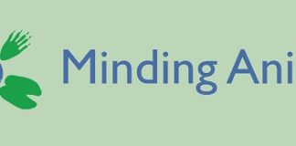 Animals and birds can understand spiritual vibrations on behalf of Maharishi Spirituality University, so why not a human?