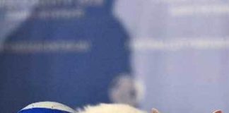 FIFA World Cup, russia, won match, cat telling, will win, will lose