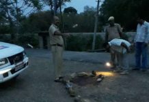 Father, Murder, daughter, kidnapping, udaipur crime