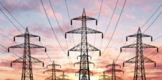 Manjula Chellur, new President, Electricity, Appellate, Tribunal