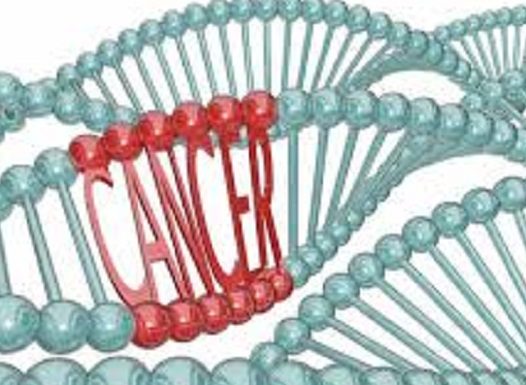 कैंसर की जंग जीत चुके 153 बच्चो का किया गया सम्मान