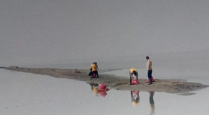 मुख्यमंत्री के निर्देश के बाद सांभर झील में बडे़ पैमाने पर रेस्क्यू ऑपरेशन, 172 पक्षियों की जान बचाई