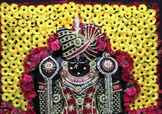 श्रीनाथजी की गुल्लक से निकली 1 करोड़ से ज्यादा राशि